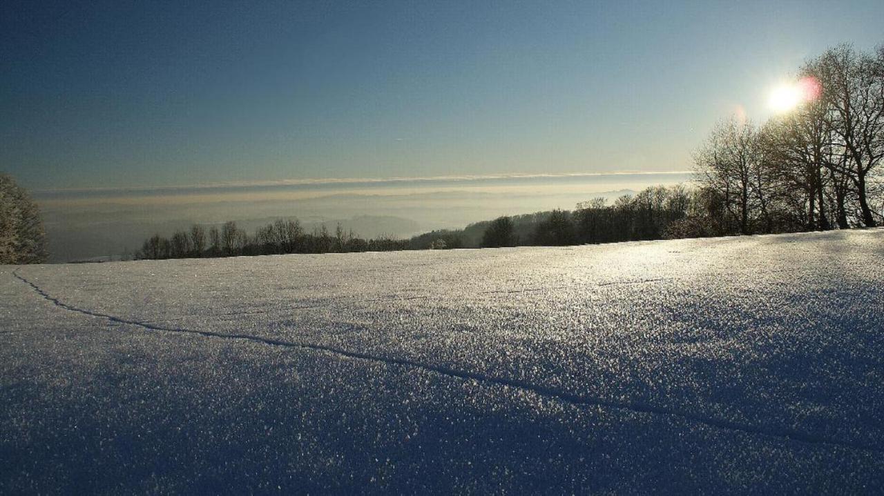 Ferienwohnungen Bauer - Auszeit Mit Ausblick Zenting Eksteriør billede