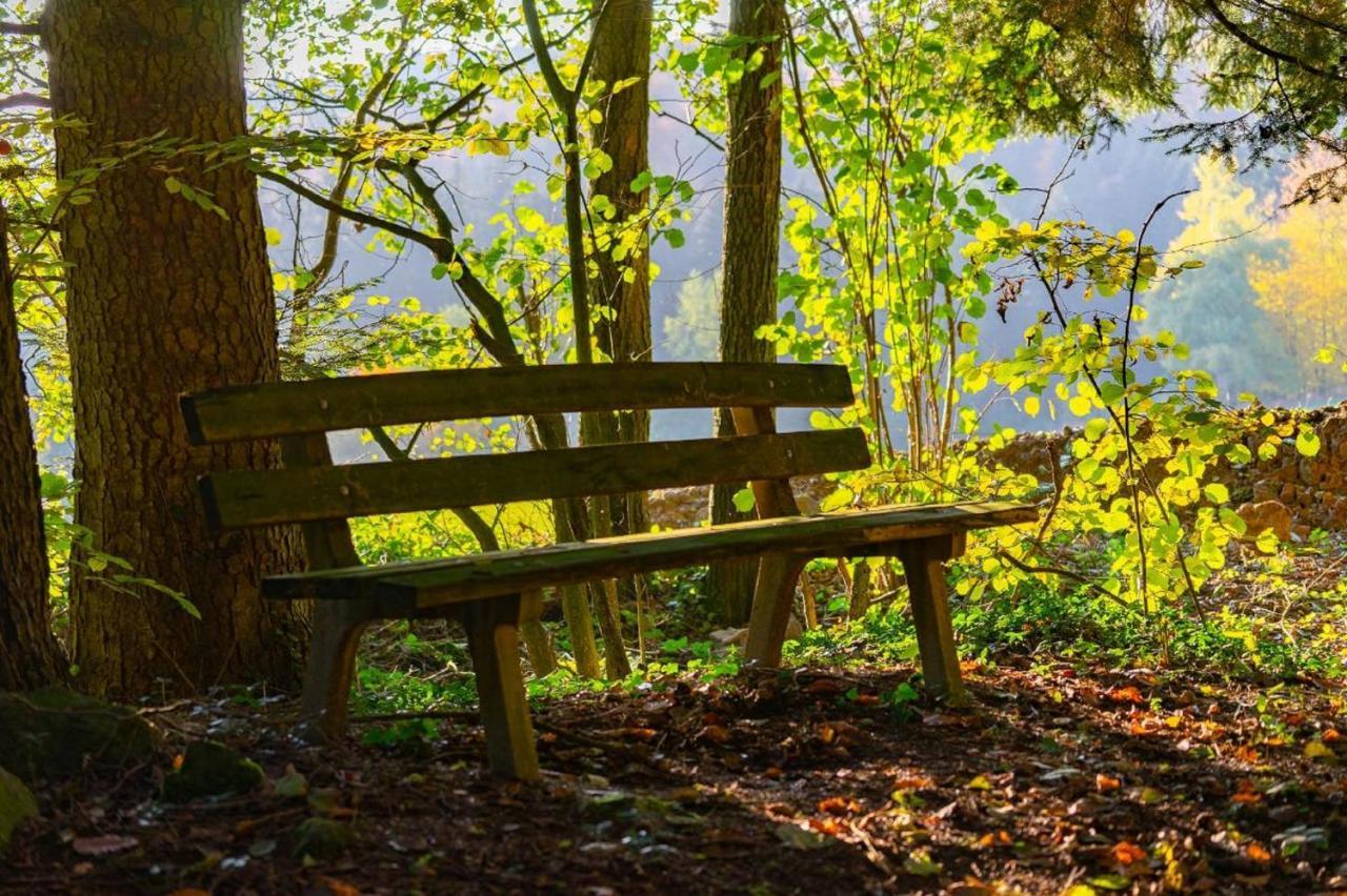 Ferienwohnungen Bauer - Auszeit Mit Ausblick Zenting Eksteriør billede