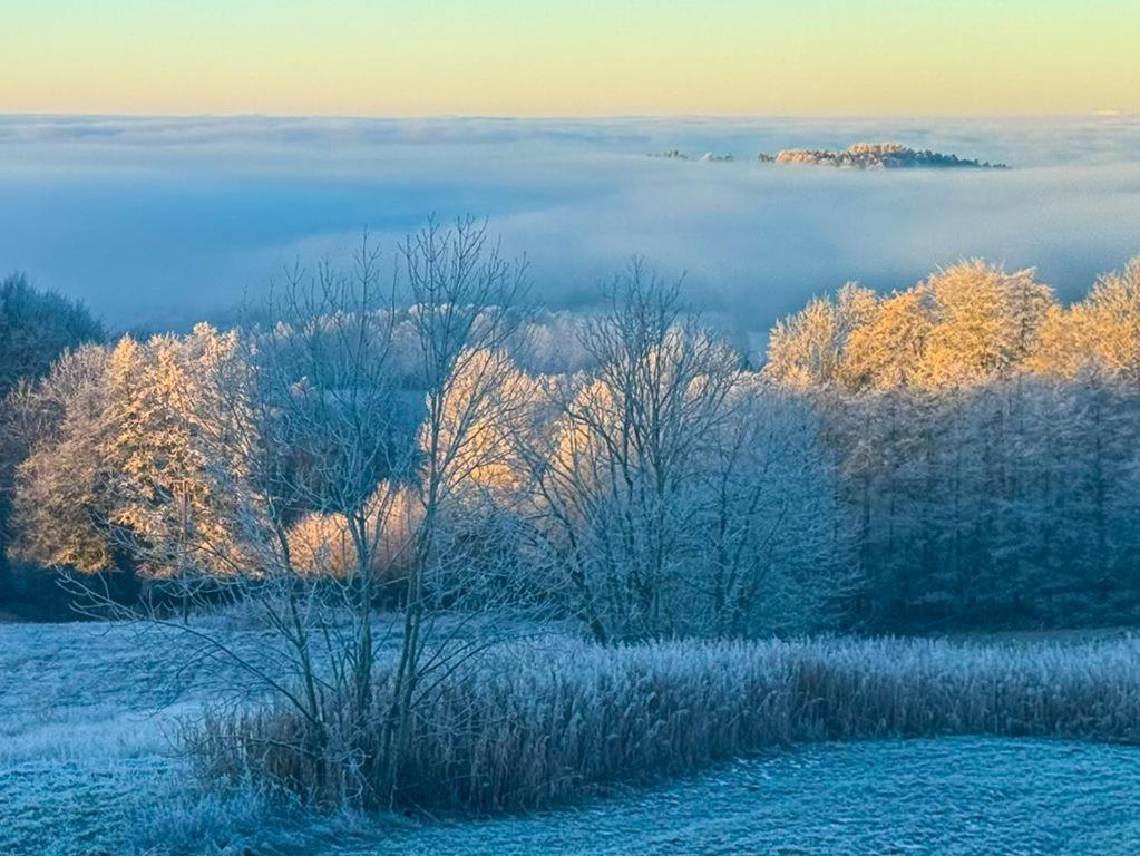 Ferienwohnungen Bauer - Auszeit Mit Ausblick Zenting Eksteriør billede